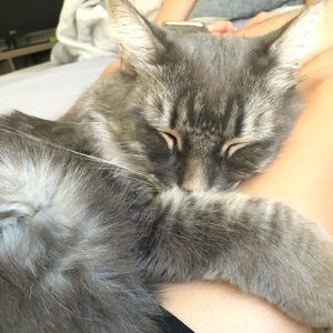 Meet your Posher, Michael